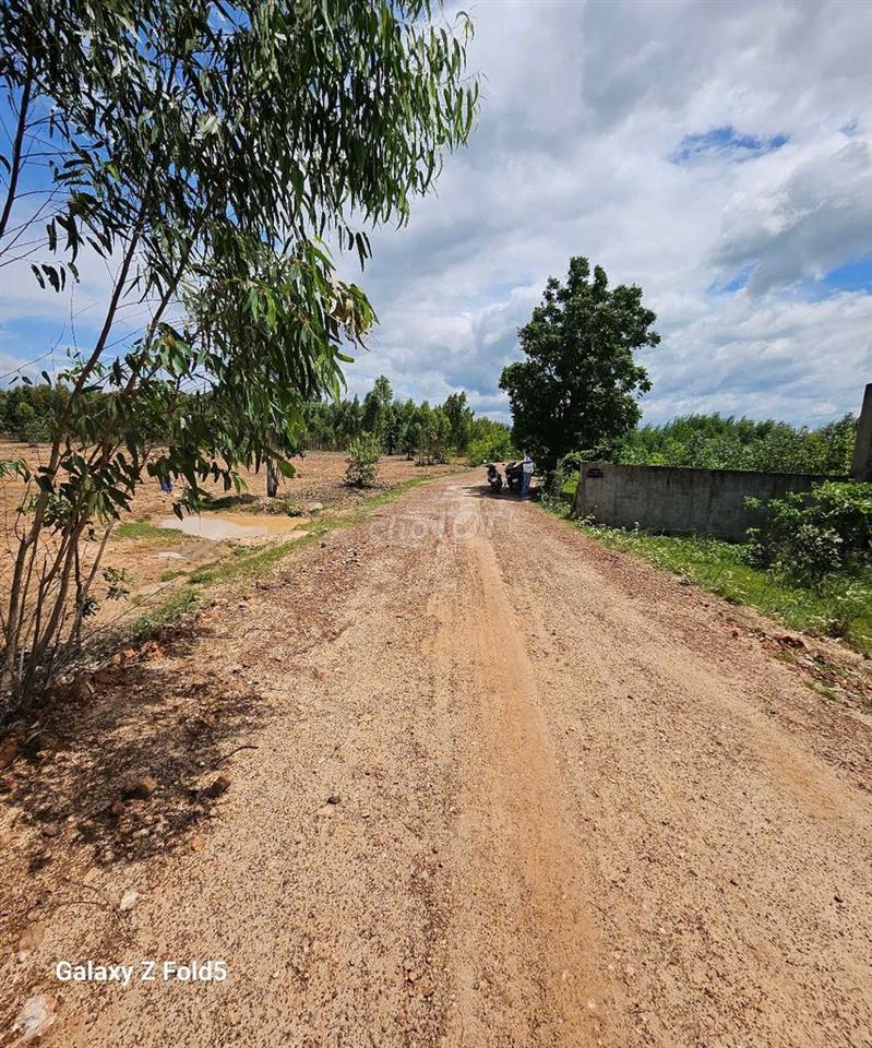 BÁN ĐẤT XÂY DỰNG TRANG TRẠI, HOMESTAY- BÌNH THUẬN 🔥 Giá siêu HOT: 7 tỷ