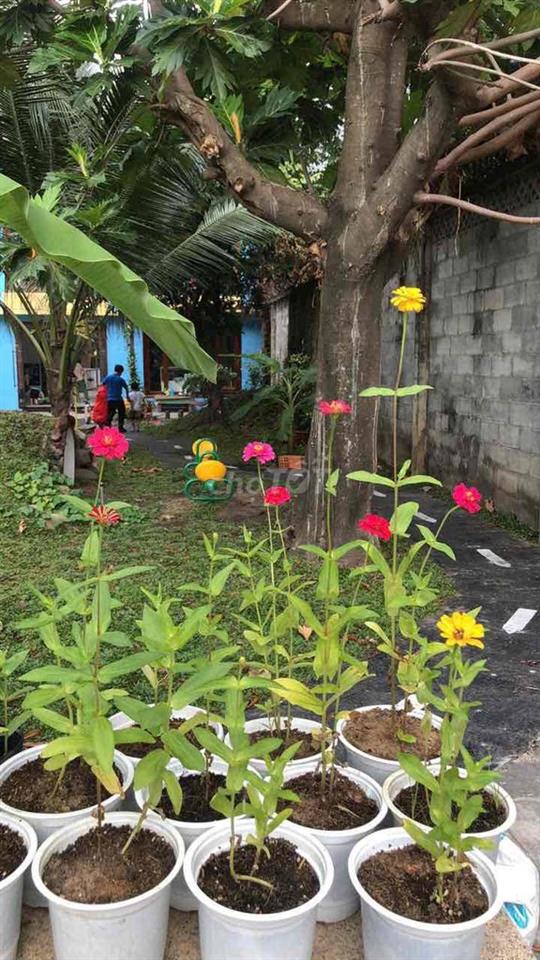 👉👉CHO THUÊ 35 TRIỆU/THÁNG–VILLA 1.000 M²  SÂN VƯỜN TẠI PHƯỜNG HIỆ