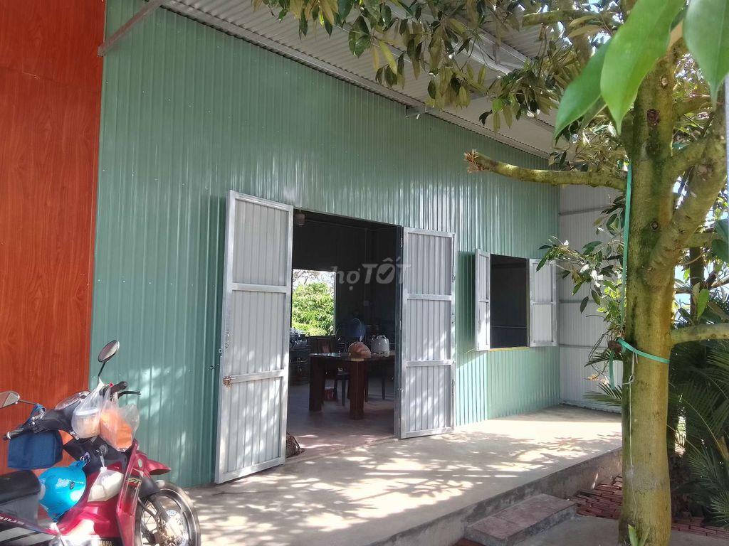 CẦN BÁN 2 SÀO RẪY CÀ PHÊ, SẦU RIÊNG SẴN NHÀ Ở DỐC THA LA, LỘC THÀNH.