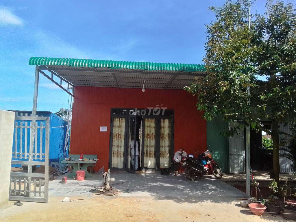 CẦN BÁN 2 SÀO RẪY CÀ PHÊ, SẦU RIÊNG SẴN NHÀ Ở DỐC THA LA, LỘC THÀNH.