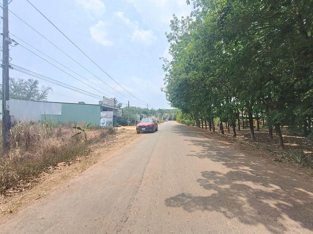 BÁN GẤP ĐẤT TẠI BÌNH PHƯỚC GIÁ RẺ