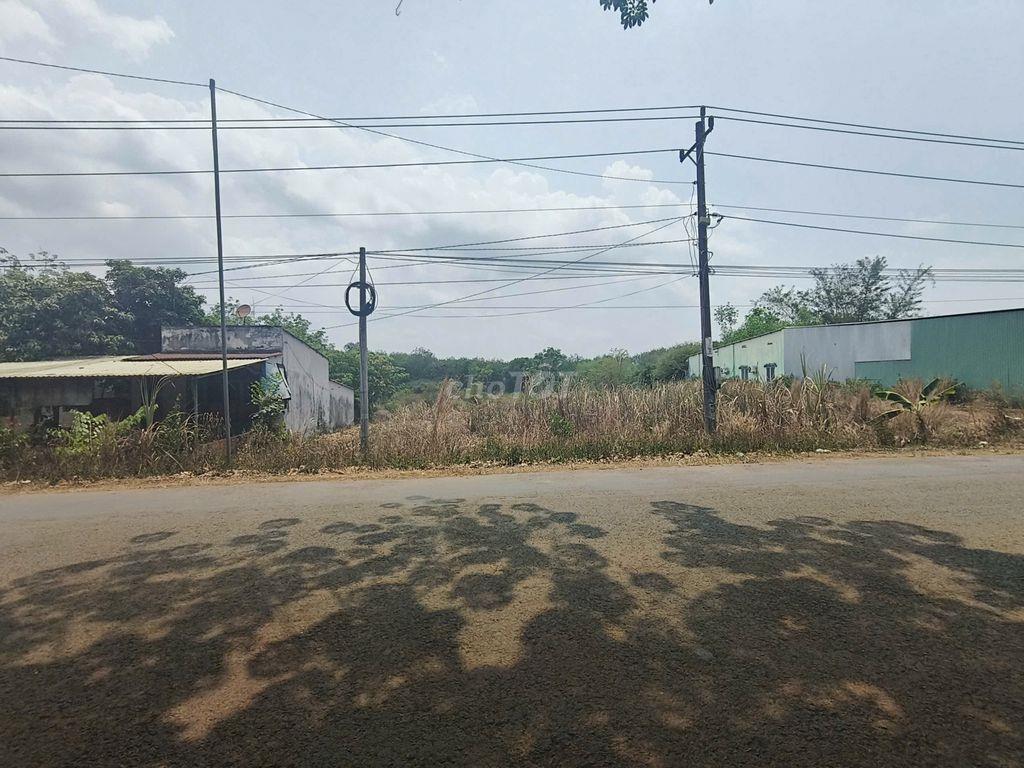 BÁN GẤP ĐẤT TẠI BÌNH PHƯỚC GIÁ RẺ