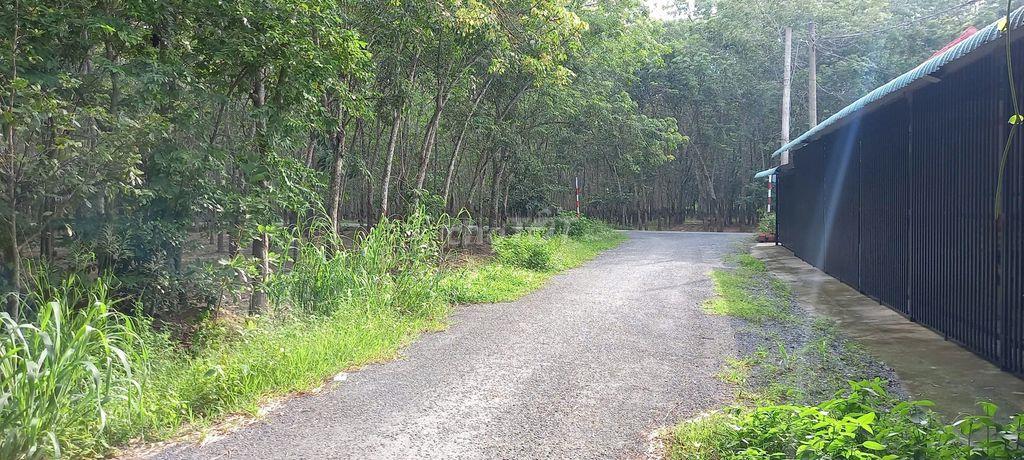 Bán đất đường nhựa 6m, cách Phạm Thị Than 20m, DT 107,3m2 giá 1.5 tỷ