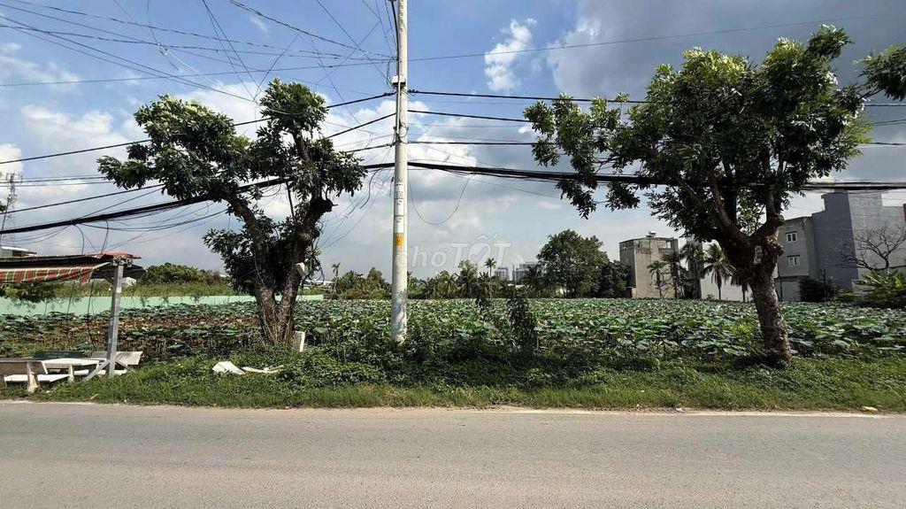LÔ ĐẤT NGỘP ĐƯỜNG TAM ĐA - CẠNH VÀNH ĐAI 3