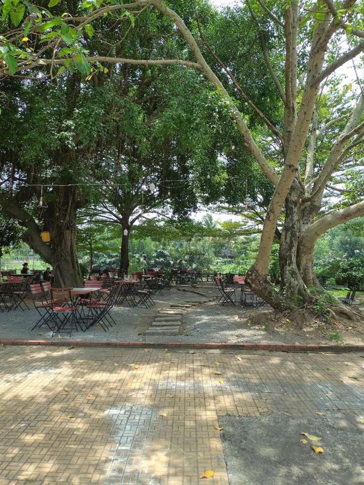 NỀN ĐẤT BIỆT THỰ CHO THUÊ