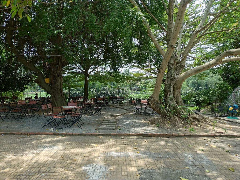 NỀN ĐẤT BIỆT THỰ CHO THUÊ
