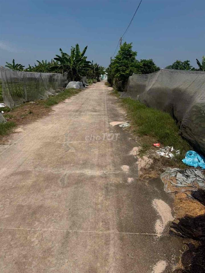 cần bán