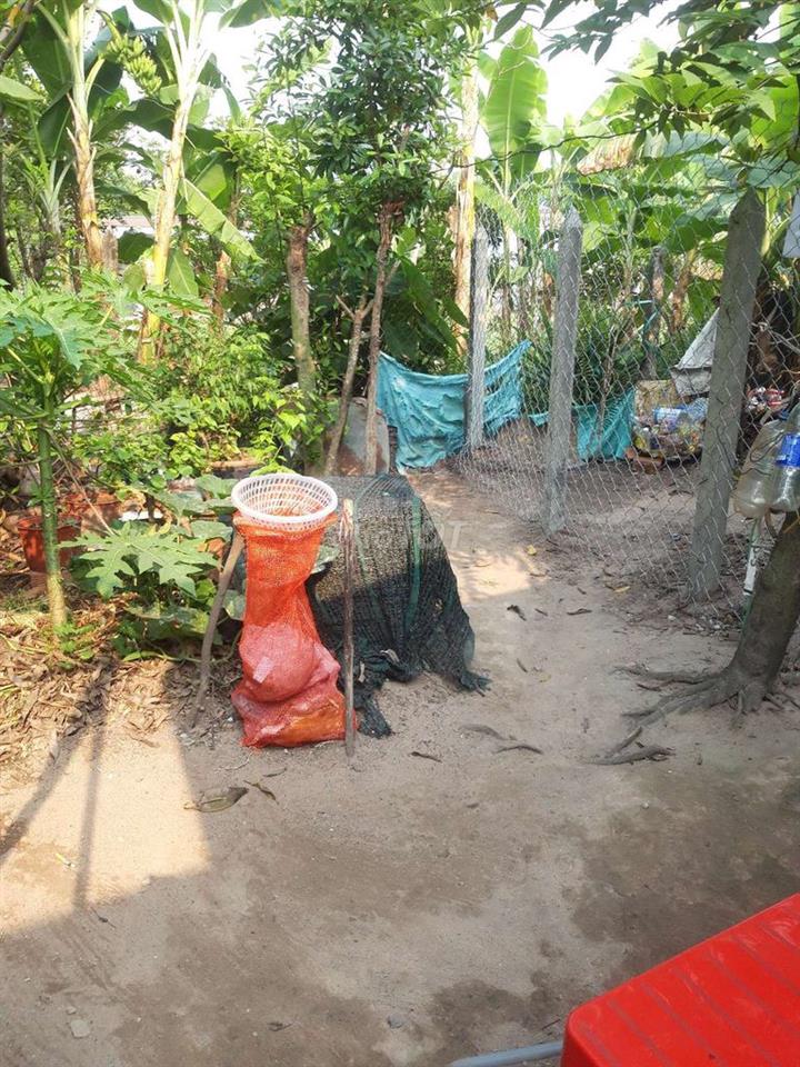 Đất cần bán