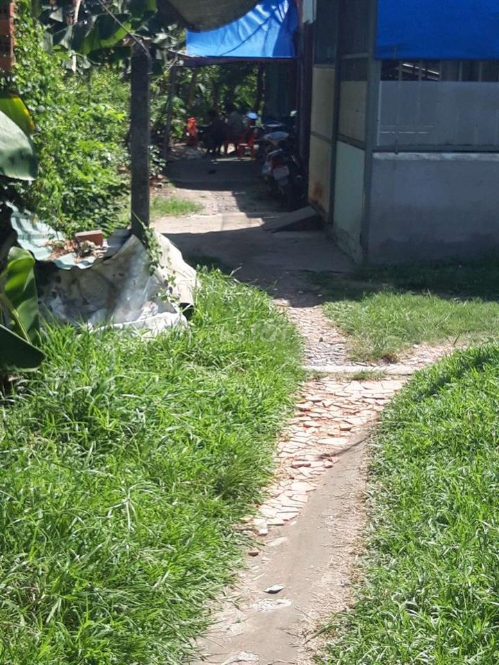 Đất cần bán