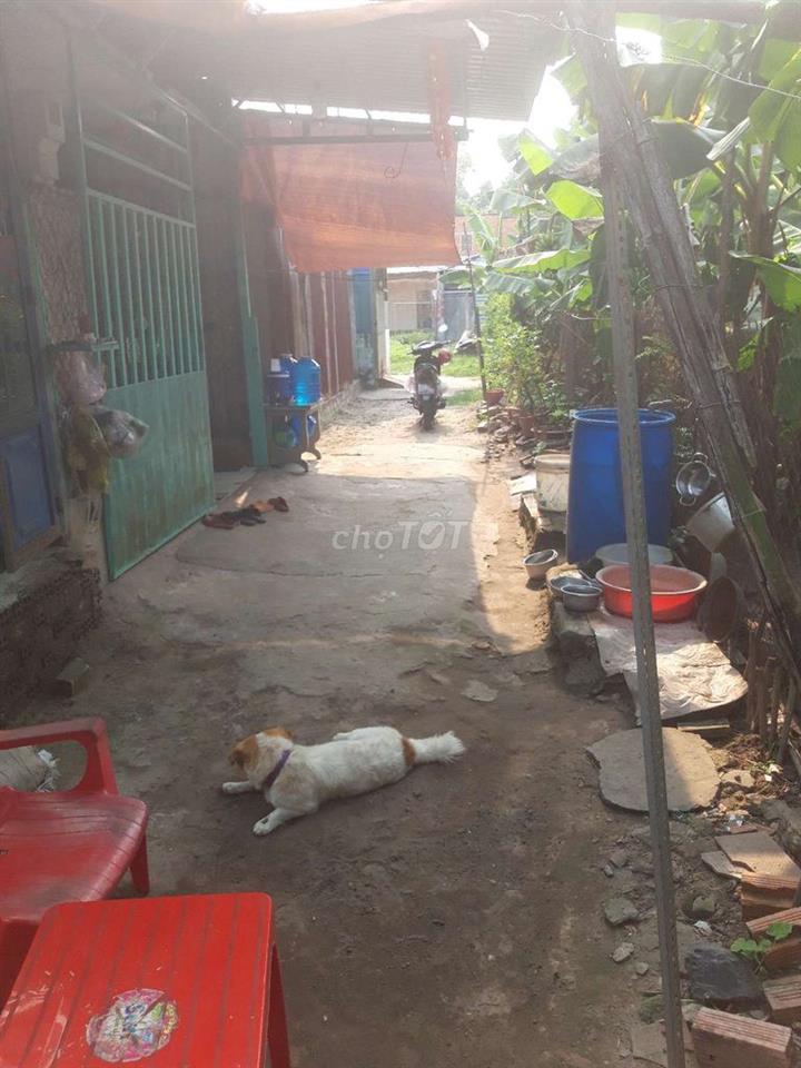 Đất cần bán