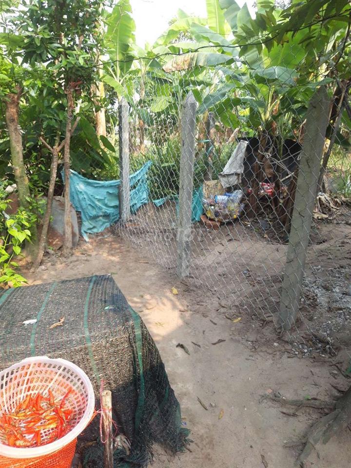 Đất cần bán