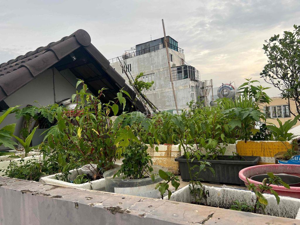 CHÍNH CHỦ CẦN BÁN NHÀ HẺM 232 CAO THẮNG , PHƯỜNG 12 , QUẬN 10