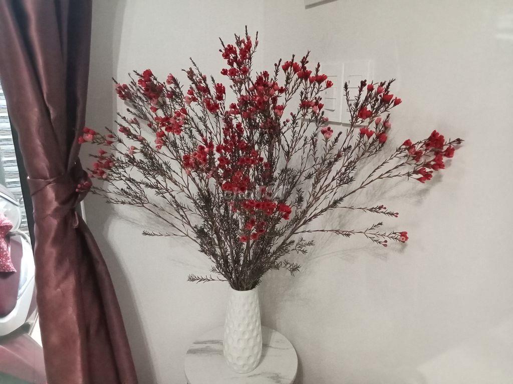 Phòng trọ riêng biệt