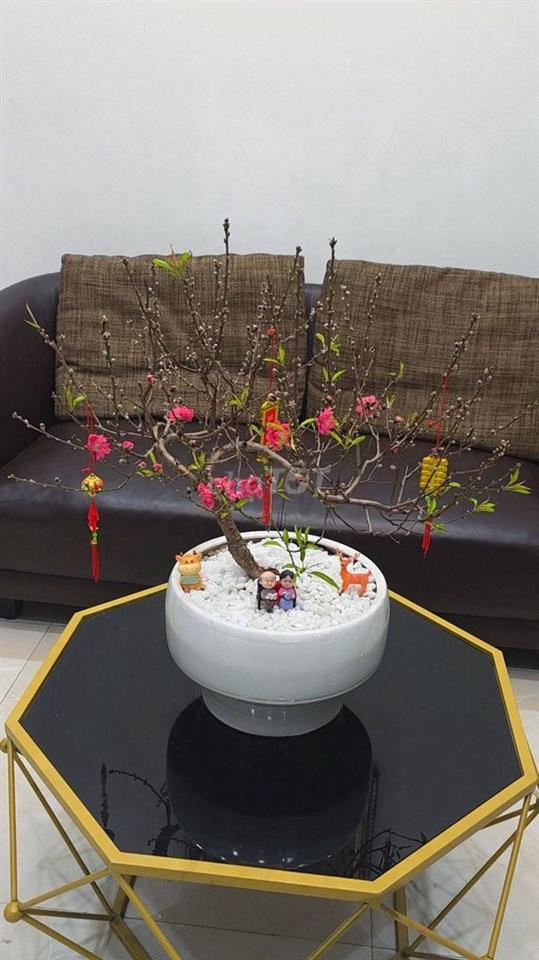 Phòng trọ riêng biệt