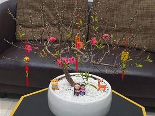Phòng trọ riêng biệt