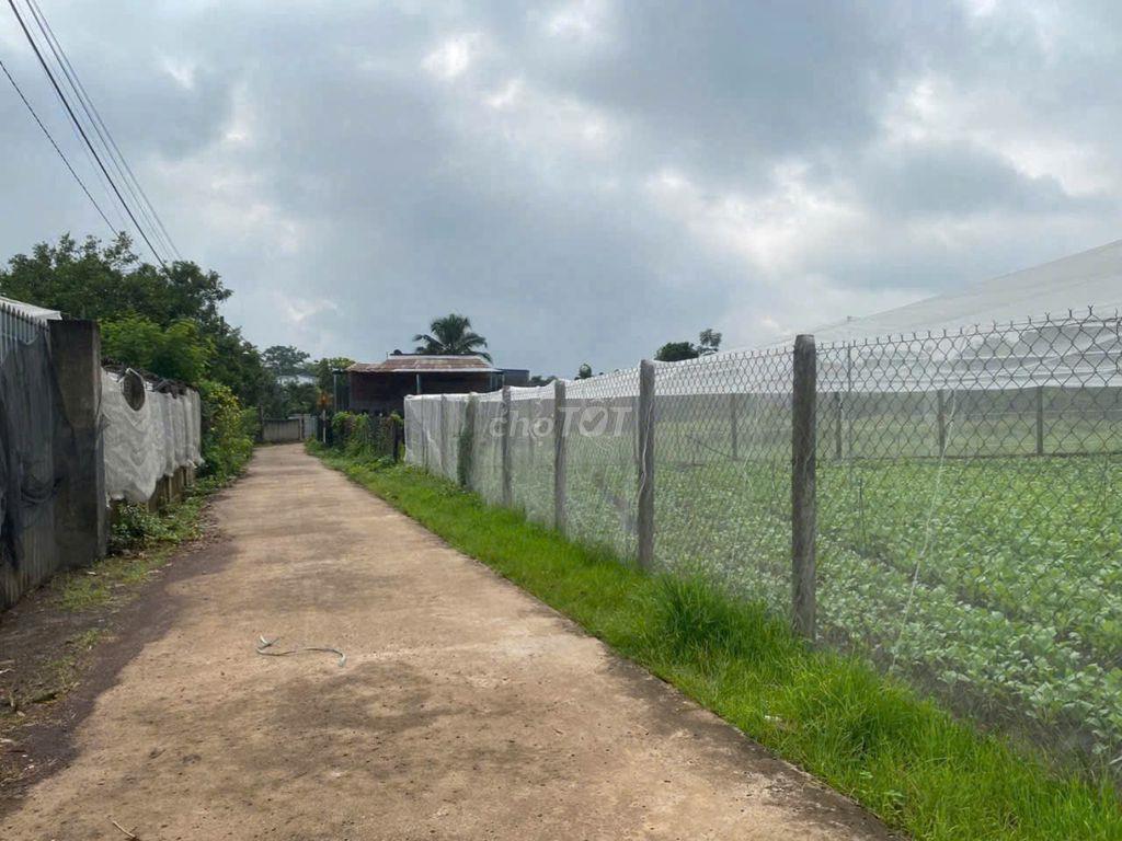 CHÍNH CHỦ BÁN NHANH LÔ ĐẤT FULL THỔ CƯ – XUÂN PHÚ, ĐỒNG NAI