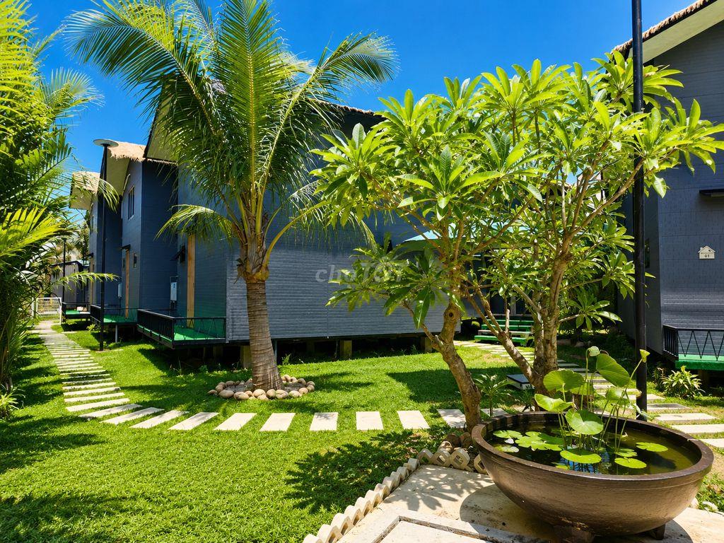 Winhouse Eco Apartment