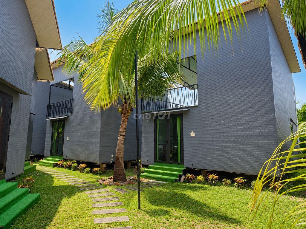 Winhouse Eco Apartment