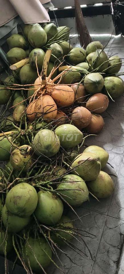 cho thuê mặt bằng