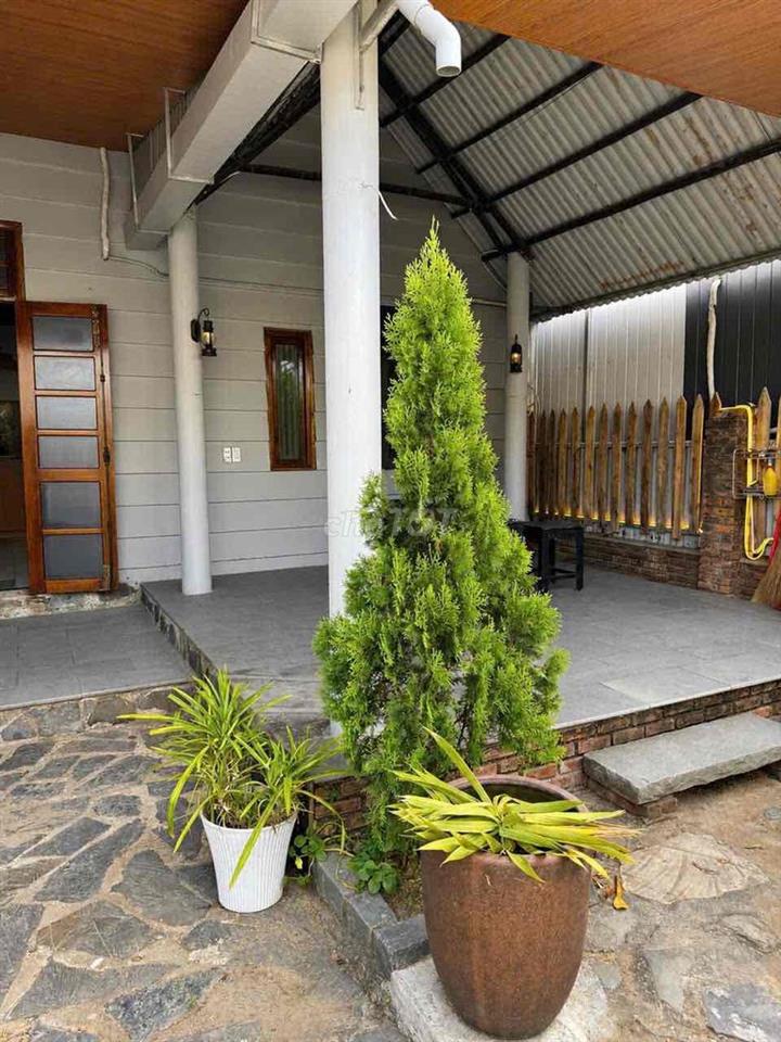 Nhà nguyên căn 90m², sân vườn, đầy đủ nội thất.