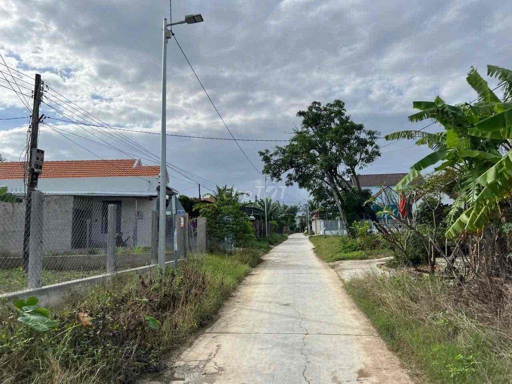 CHÍNH CHỦ CẦN BÁN NHANH ĐẤT NINH XUÂN - Khu Công Nghiệp Ninh Xuân