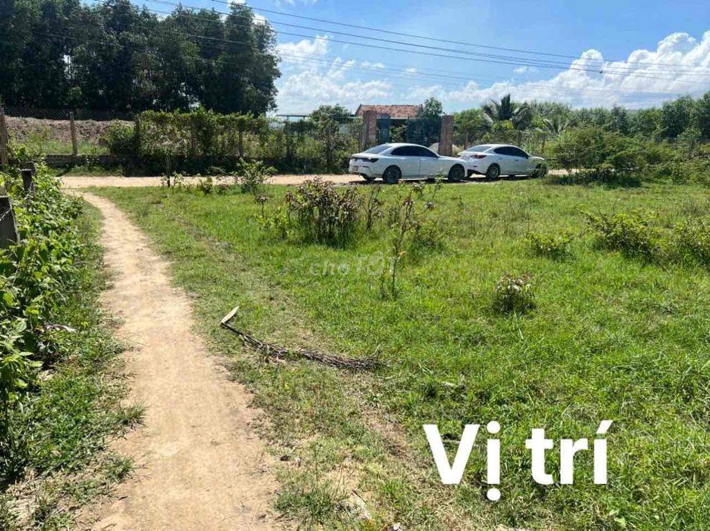 CHÍNH CHỦ CẦN BÁN NHANH ĐẤT NINH XUÂN - Khu Công Nghiệp Ninh Xuân