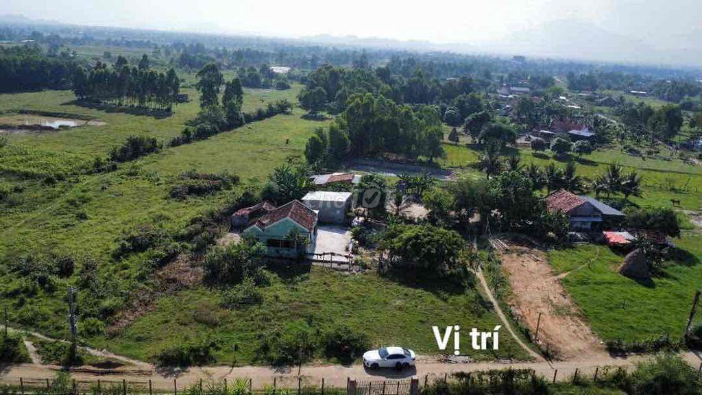 CHÍNH CHỦ CẦN BÁN NHANH ĐẤT NINH XUÂN - Khu Công Nghiệp Ninh Xuân