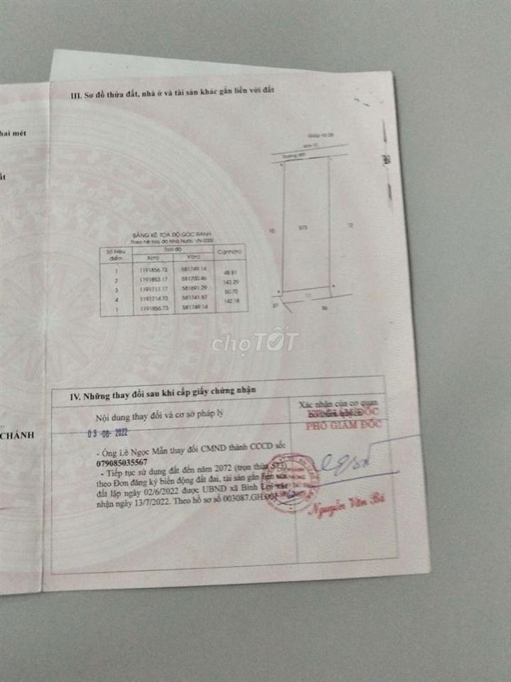 đất trồng cây mai 