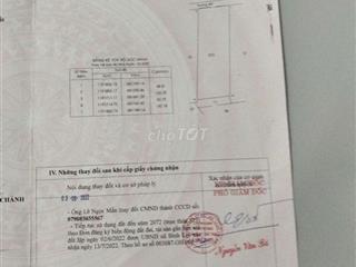 đất trồng cây mai 