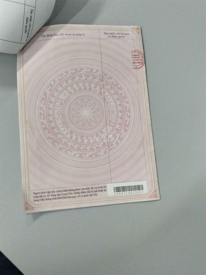 đất trồng cây mai 