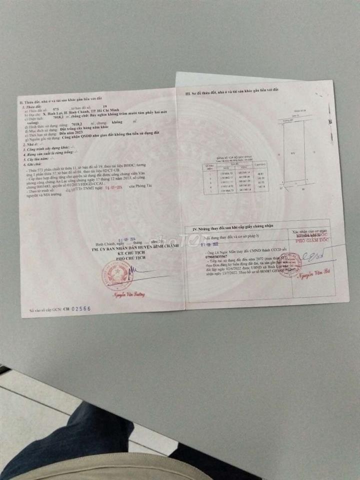 đất trồng cây mai 