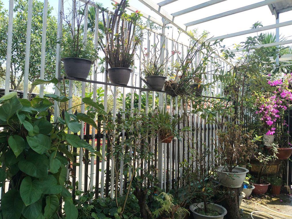Nhà cấp 4 kiên cố ngay chợ Mười Giờ