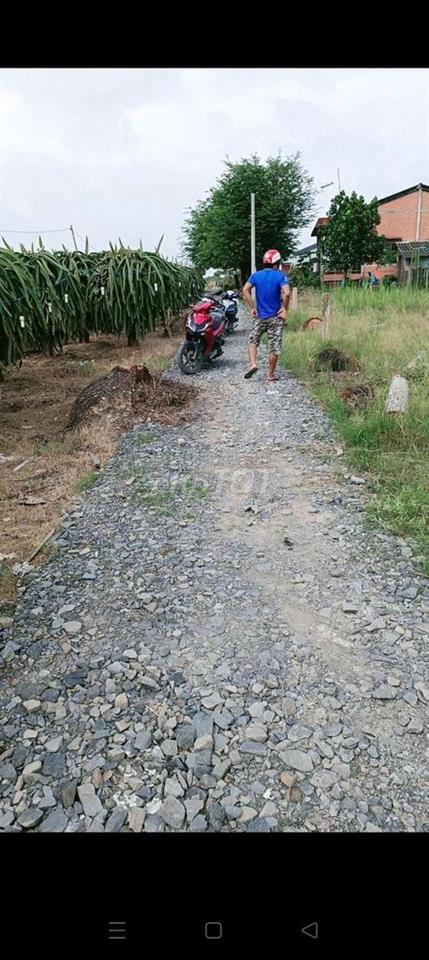 cần tiền bán gấp 2 lô đất giá rẻ