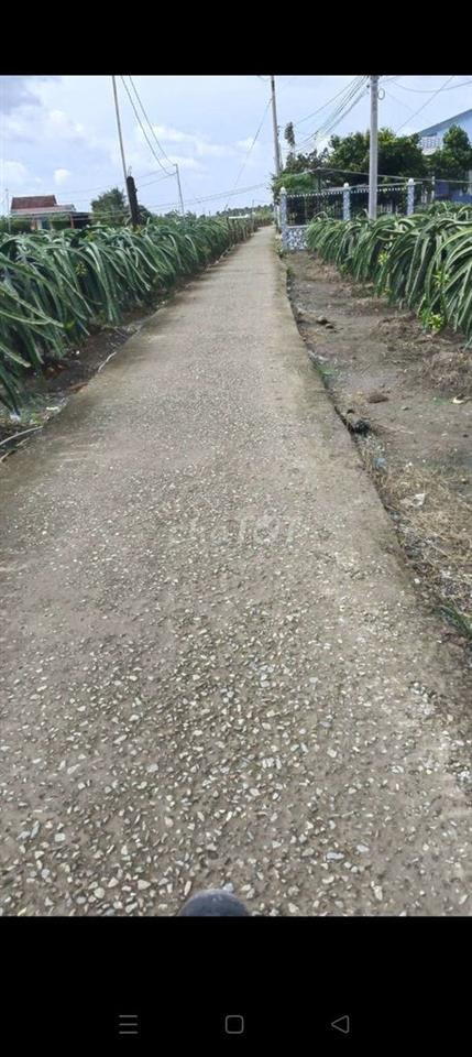 cần tiền bán gấp 2 lô đất giá rẻ