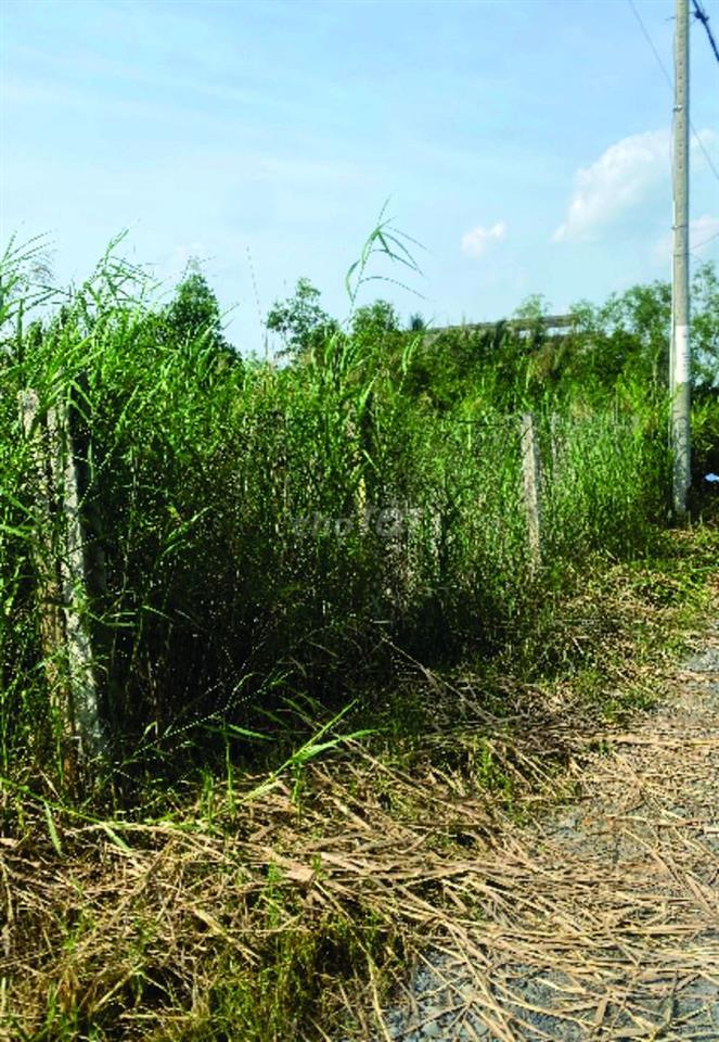 Bán đất khu An Phước-Tam Thôn Hiệp