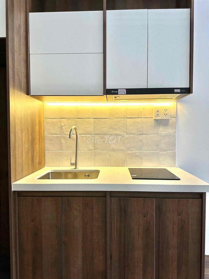 Cho thuê căn hộ full nội thất ngay Lotte Mary,TDTU,RMIT,UFM