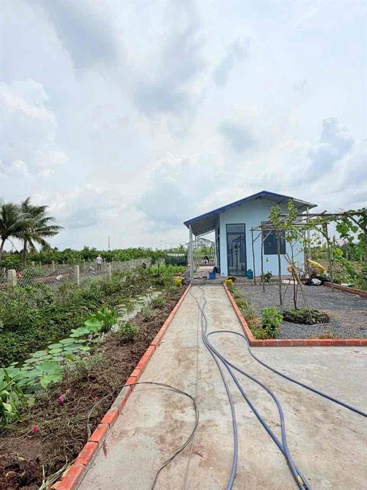 nhà vườn quá đẹp