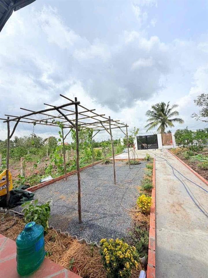 nhà vườn quá đẹp