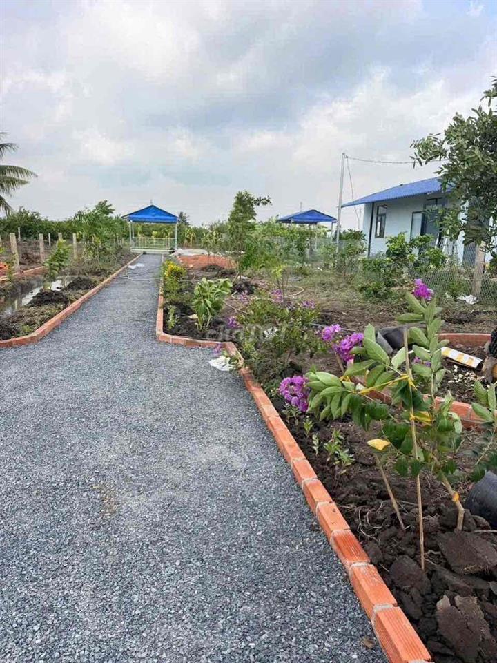 siêu phẩm mô hình nhà vườn có ao cá mát mẻ và nhiều cây ăn trái
