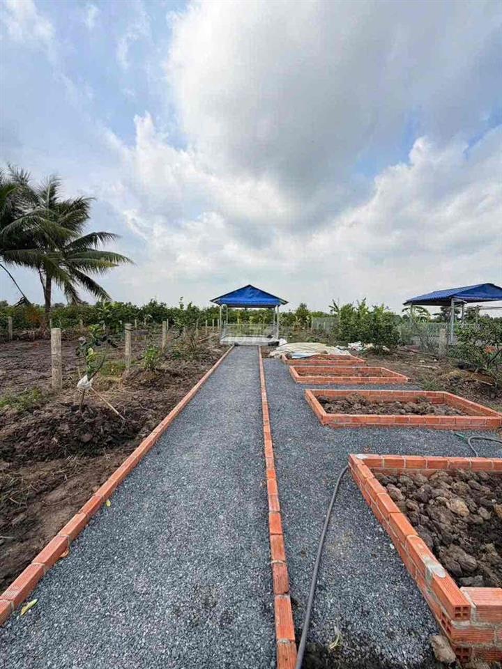 siêu phẩm mô hình nhà vườn có ao cá mát mẻ và nhiều cây ăn trái