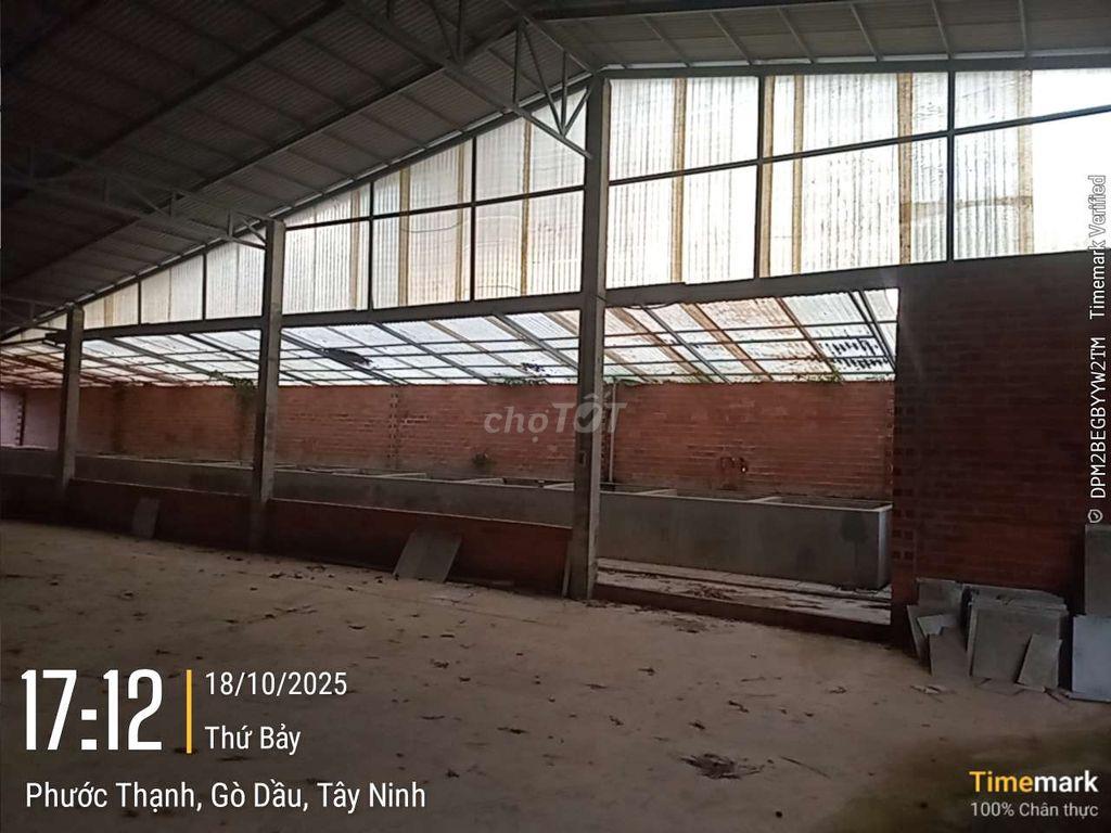 BÁN  GẤP NHÀ KHO - XƯỞNG RỘNG ...GIÁ CỰC RẺ