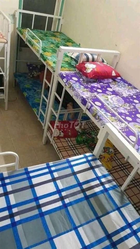 Cho Thuê Giường Tầng KTX Giá Rẻ Không Cần Cọc