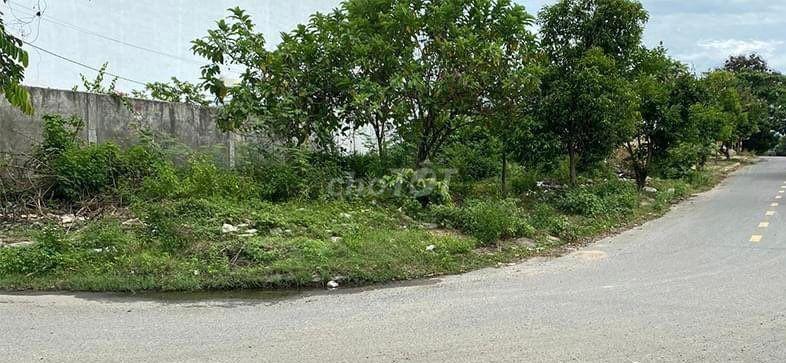 LÔ GÓC KHU TĐC TRÀ NA - 194M2 SIÊU RẺ 5.45 TỶ