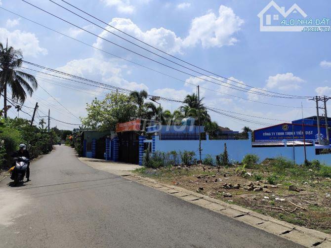 Bán 1 hecta đất 2 MT đường nhựa Nguyễn Hoàng, Hùng Vương, P. Trảng bom