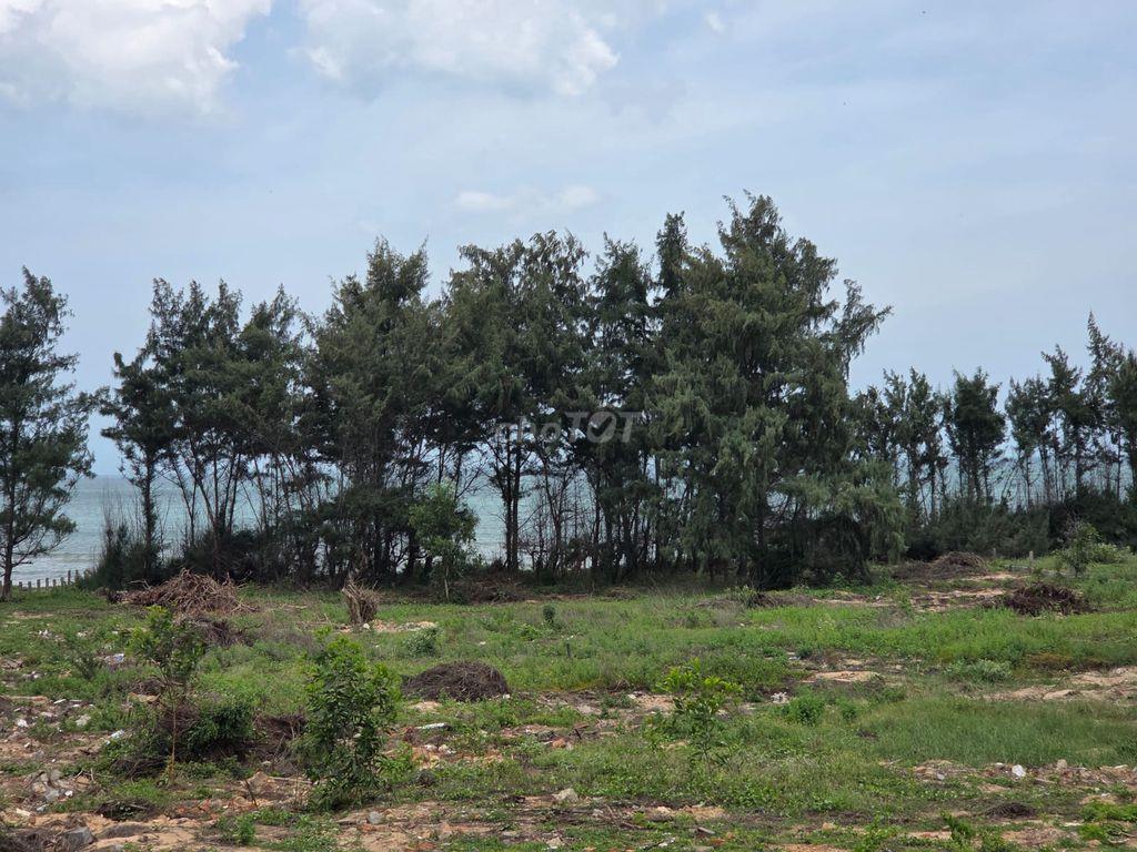 Bán 6000m2 MT Lạc Long Quân, Tp Phan thiết, mặt biển, gần Bikini beach