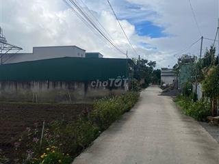 CHÍNH CHỦ BÁN ĐẤT PHÚ HỘI – 127,7M² – 75,5M² THỔ CƯ – SỔ RIÊNG