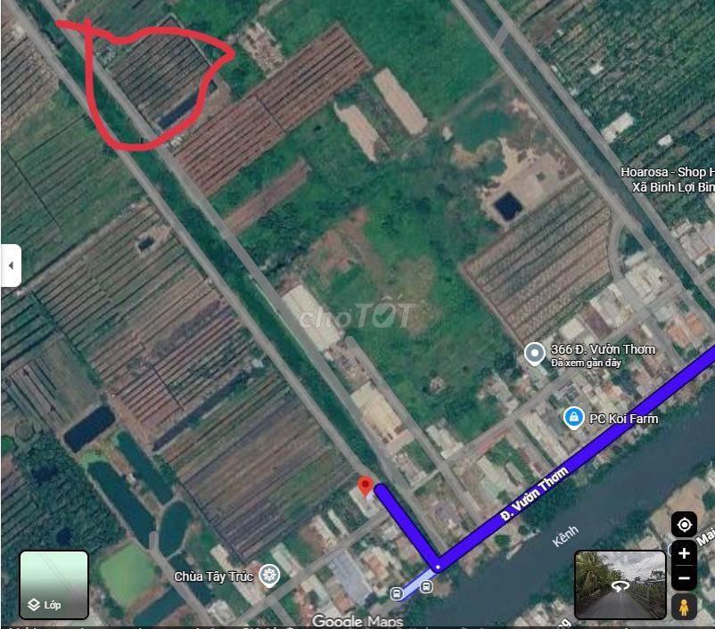 BÁN 3 LÔ ĐẤT :  Đ VƯỜN THƠM - KÊNH 6 , XÃ BÌNH LỢI, H.BÌNH CHÁNH , HCM