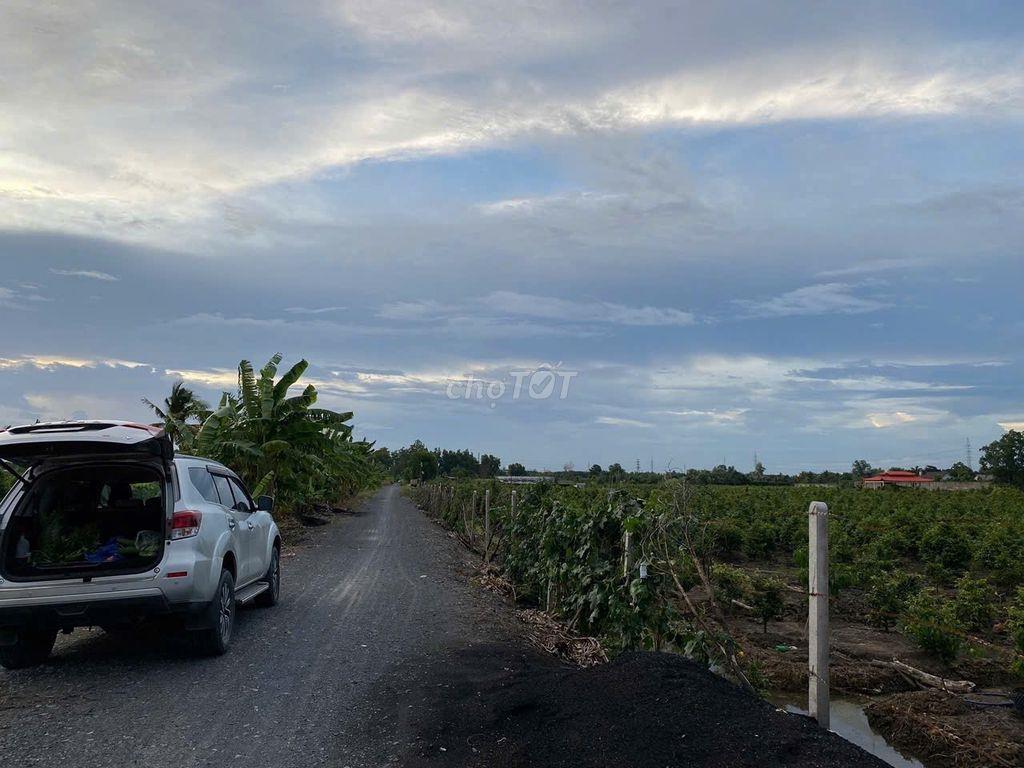 BÁN 3 LÔ ĐẤT :  Đ VƯỜN THƠM - KÊNH 6 , XÃ BÌNH LỢI, H.BÌNH CHÁNH , HCM
