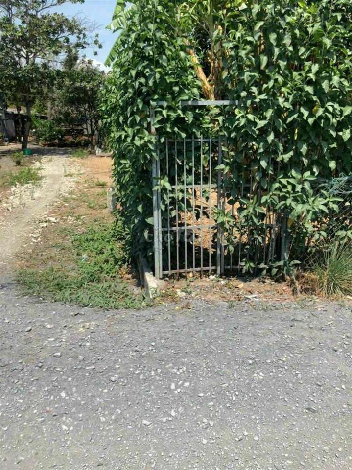 🏡 ĐẤT PHONG PHÚ – 115M² – GIÁ 1,8 TỶ