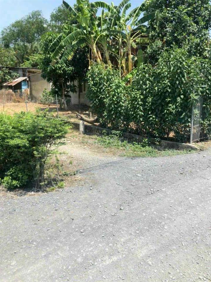🏡 ĐẤT PHONG PHÚ – 115M² – GIÁ 1,8 TỶ